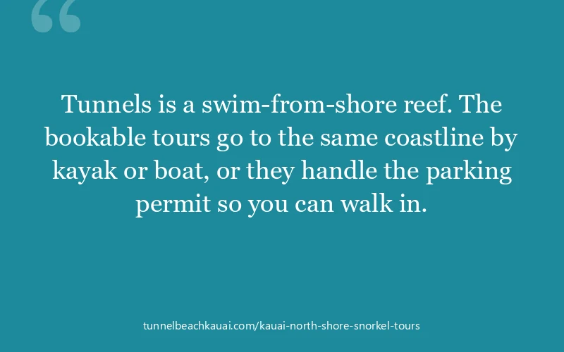 Tunnels is a swim-from-shore reef. The bookable tours go to the same coastline by kayak or boat, or they handle the parking permit so you can walk in.