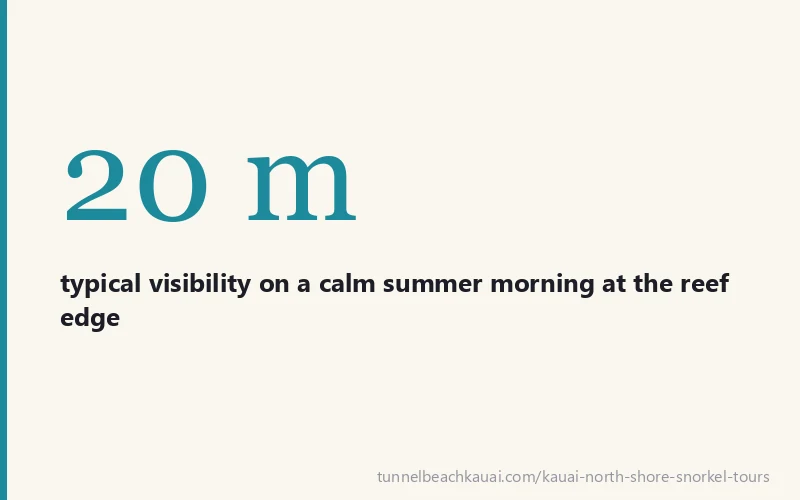 20 m - typical visibility on a calm summer morning at the reef edge