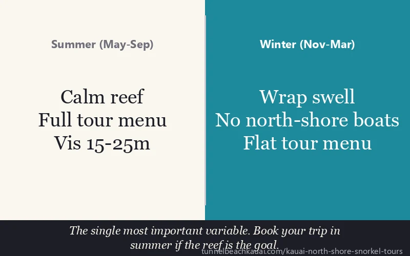 Summer (May-Sep) vs Winter (Nov-Mar): The single most important variable. Book your trip in summer if the reef is the goal.