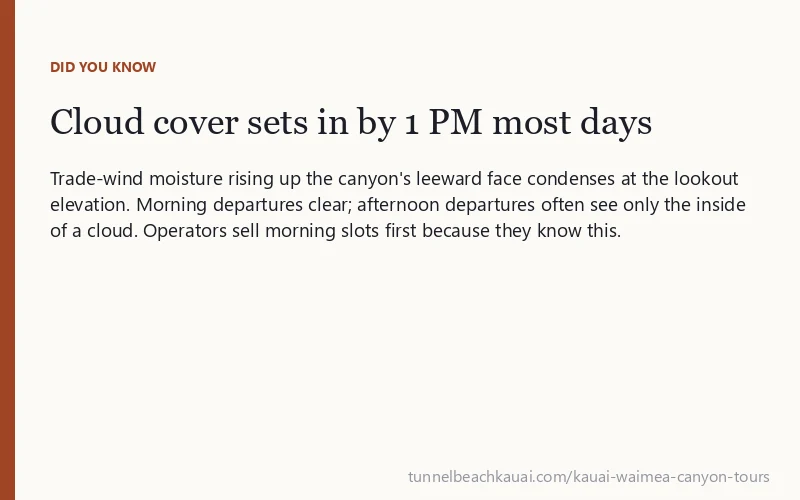 Cloud cover sets in by 1 PM most days: Trade-wind moisture rising up the canyon's leeward face condenses at the lookout elevation.